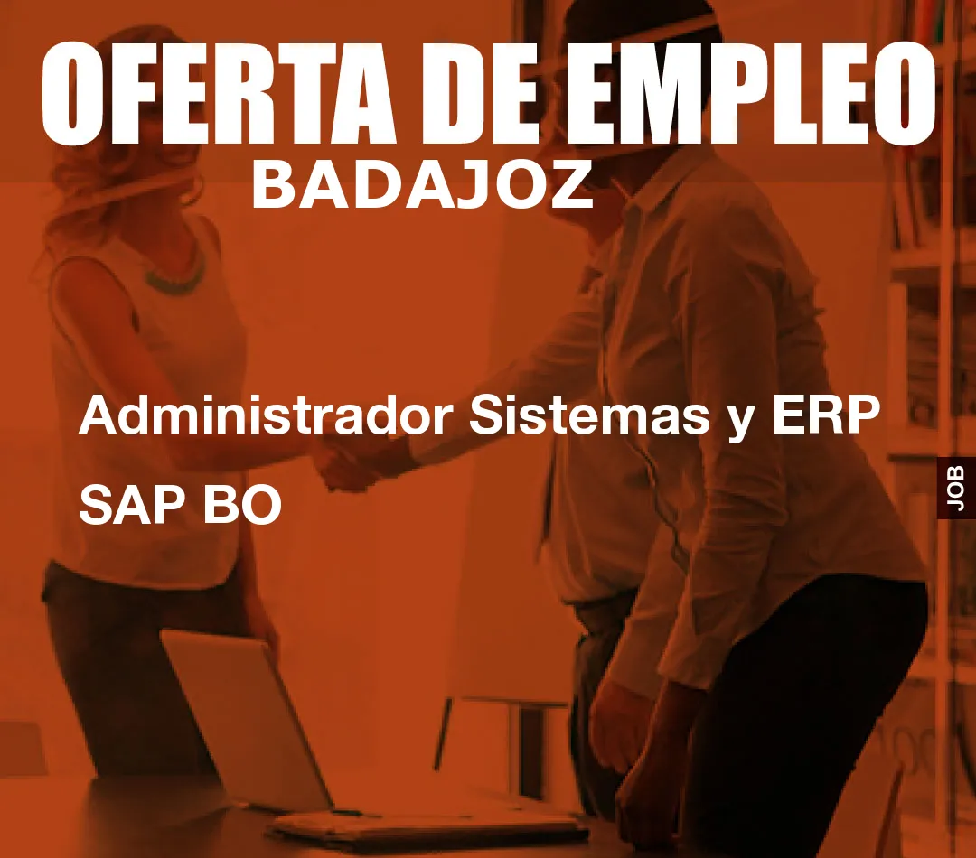 Administrador Sistemas y ERP SAP BO