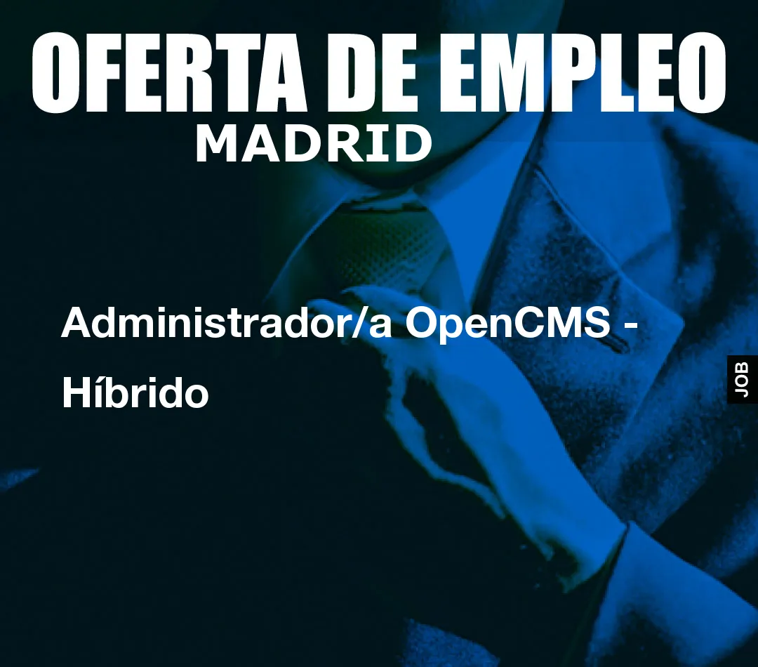 Administrador/a OpenCMS - Híbrido