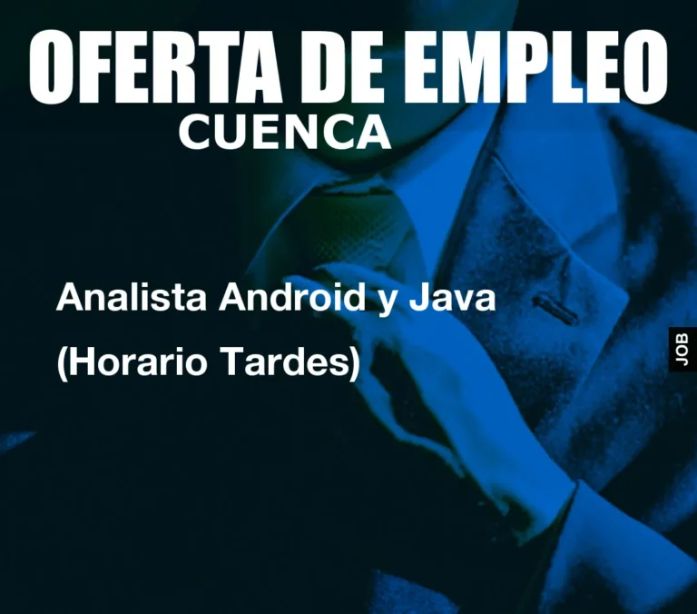 Analista Android y Java (Horario Tardes)