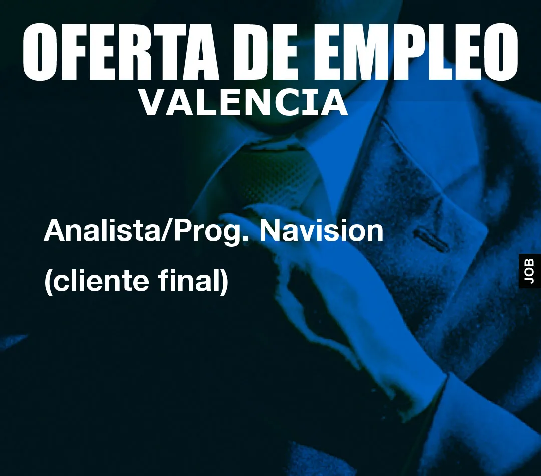 Analista/Prog. Navision (cliente final)