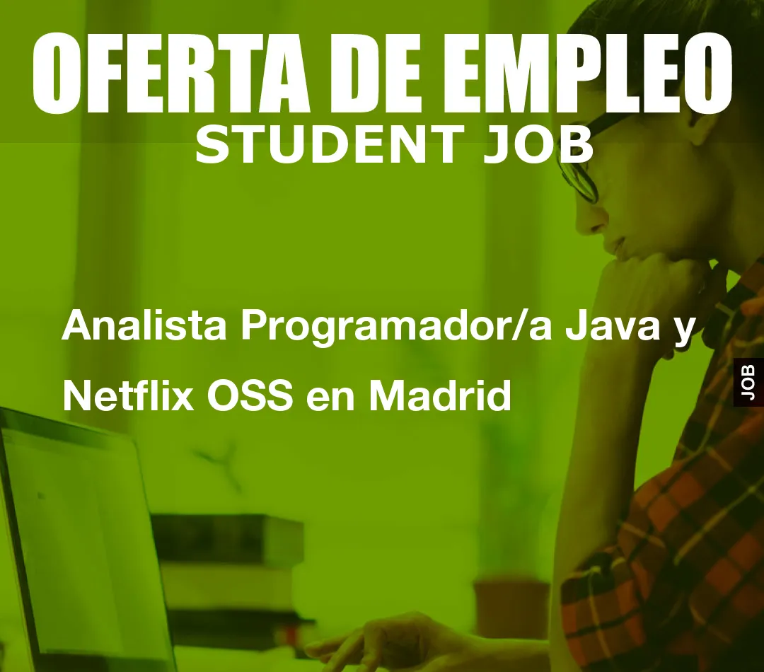 Analista Programador/a Java y Netflix OSS en Madrid
