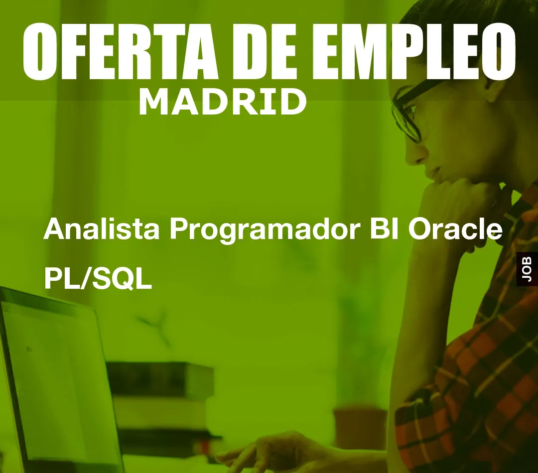 Analista Programador BI Oracle PL/SQL