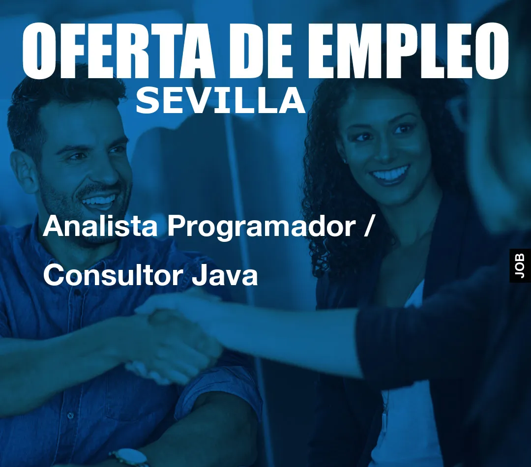 Analista Programador / Consultor Java