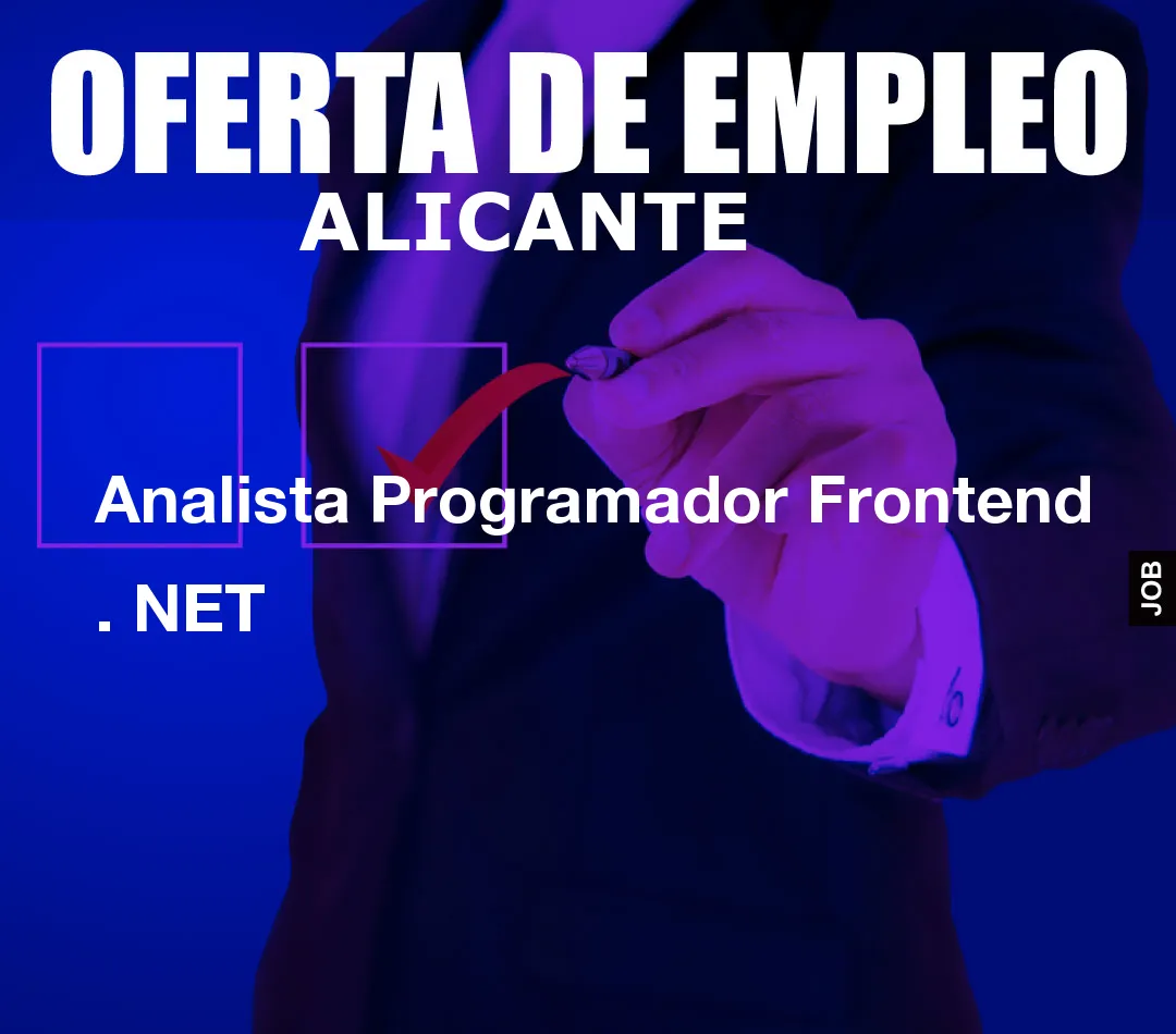 Analista Programador Frontend . NET