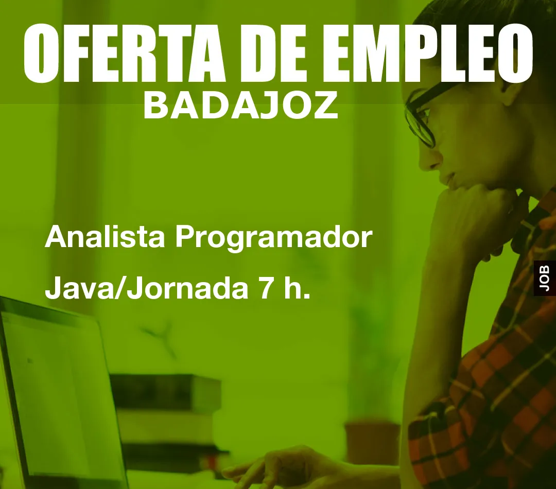 Analista Programador Java/Jornada 7 h.
