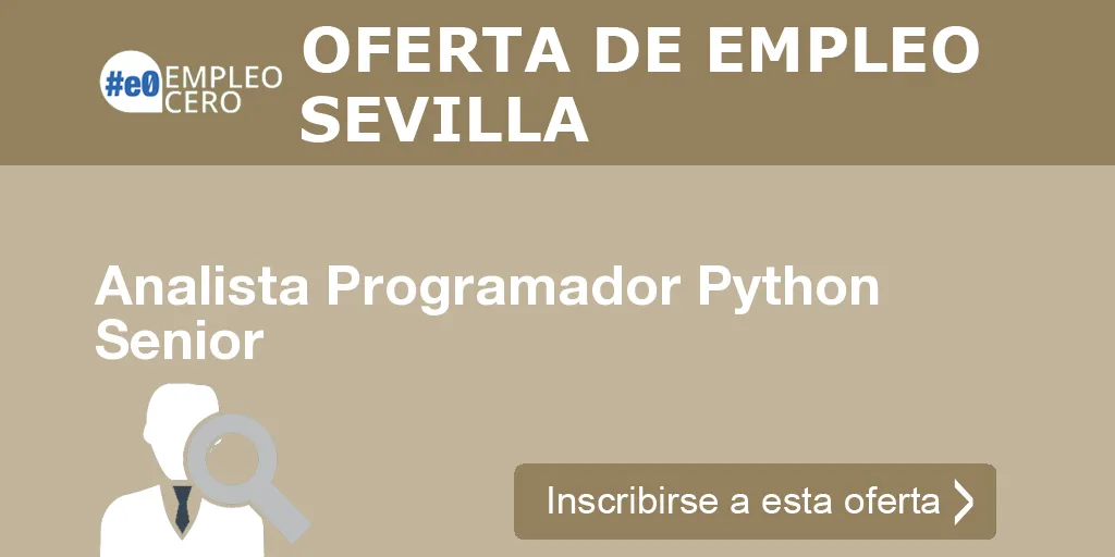 Analista Programador Python Senior