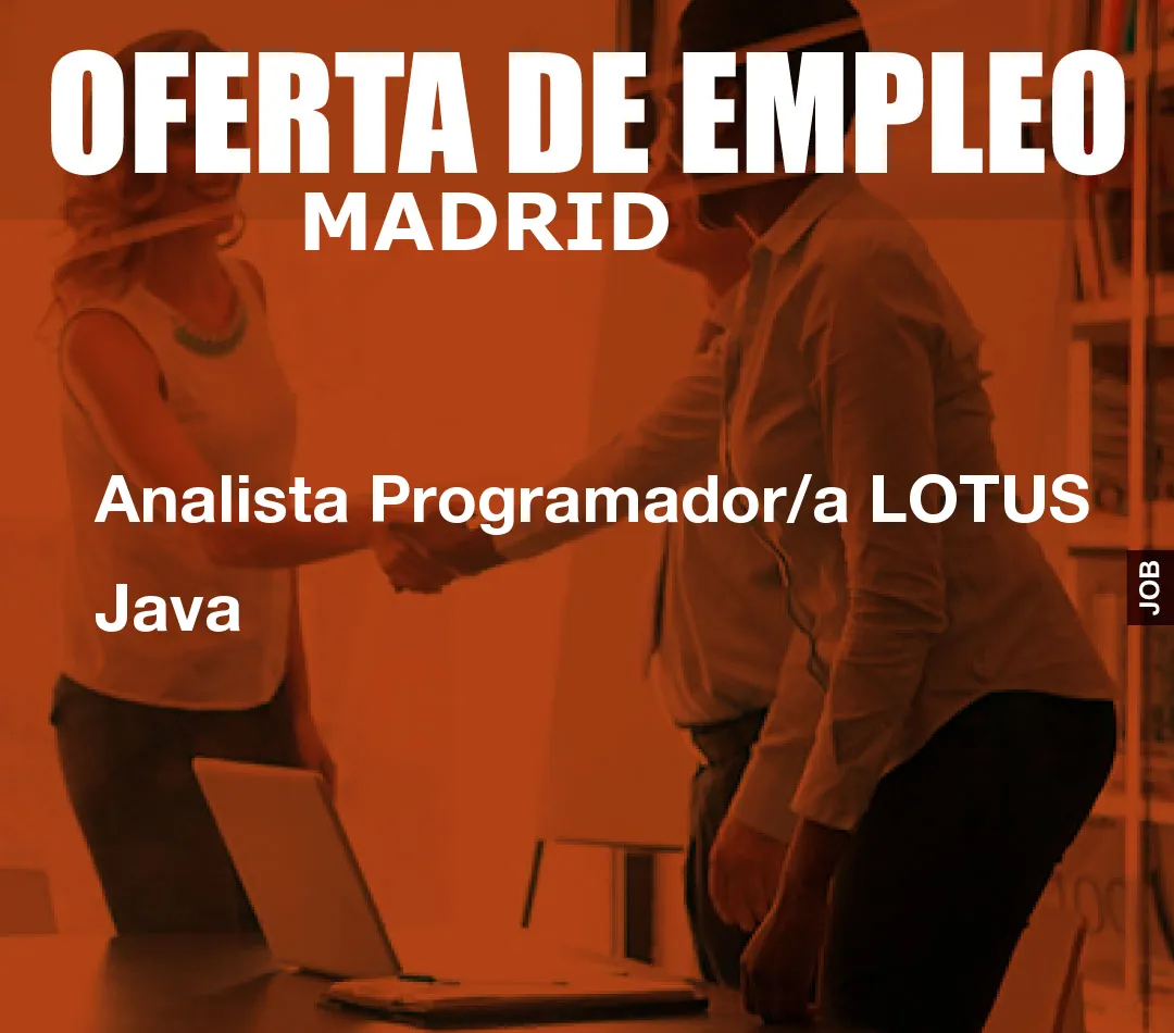 Analista Programador/a LOTUS Java