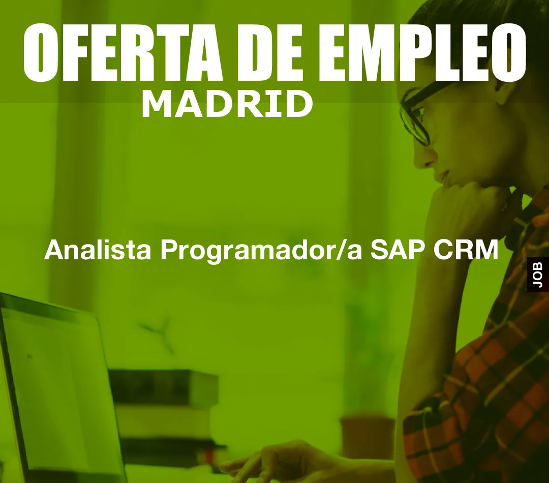 Analista Programador/a SAP CRM