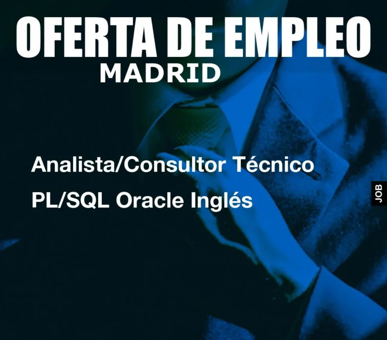 Analista/Consultor Técnico PL/SQL Oracle Inglés