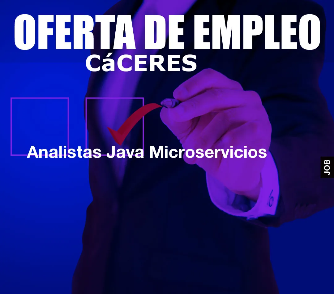 Analistas Java Microservicios