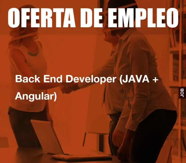 Back End Developer (JAVA + Angular)