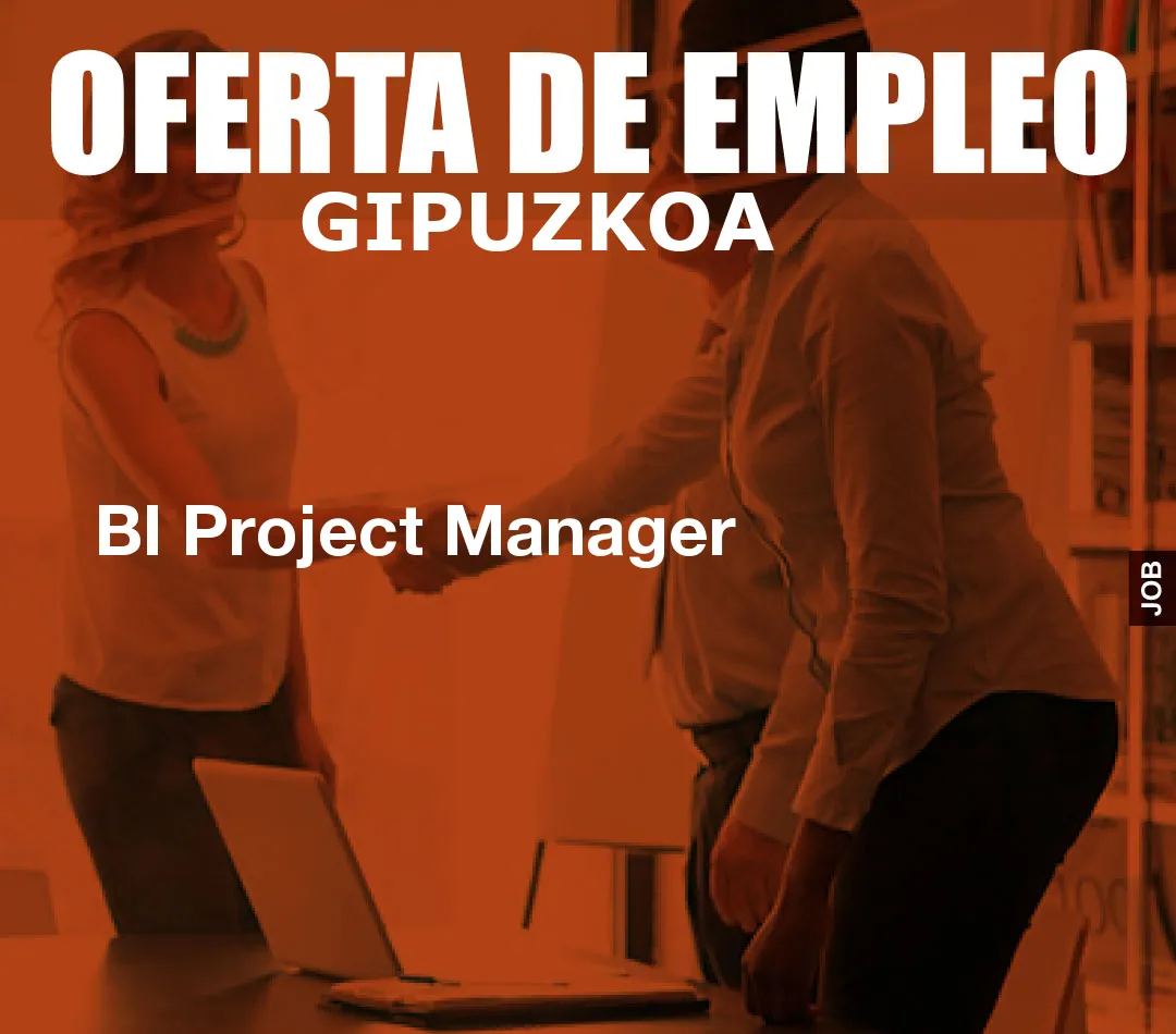BI Project Manager