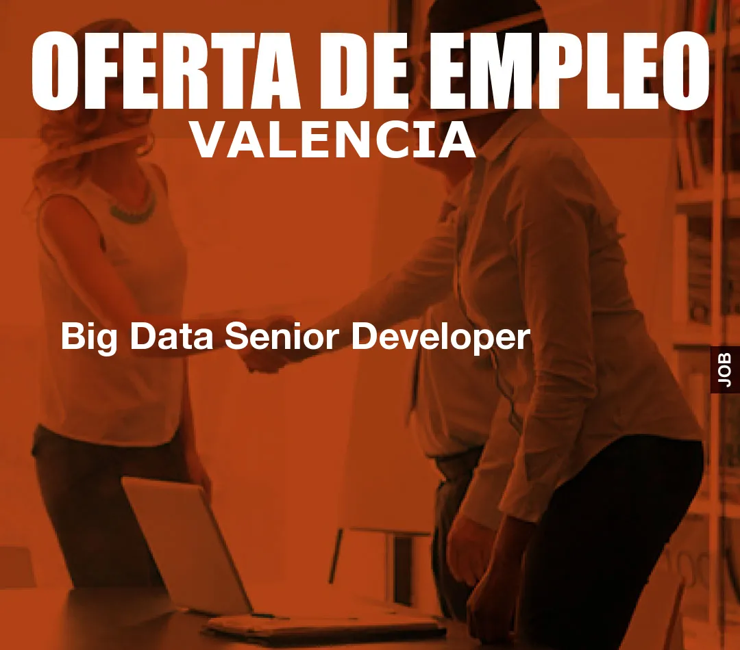Big Data Senior Developer