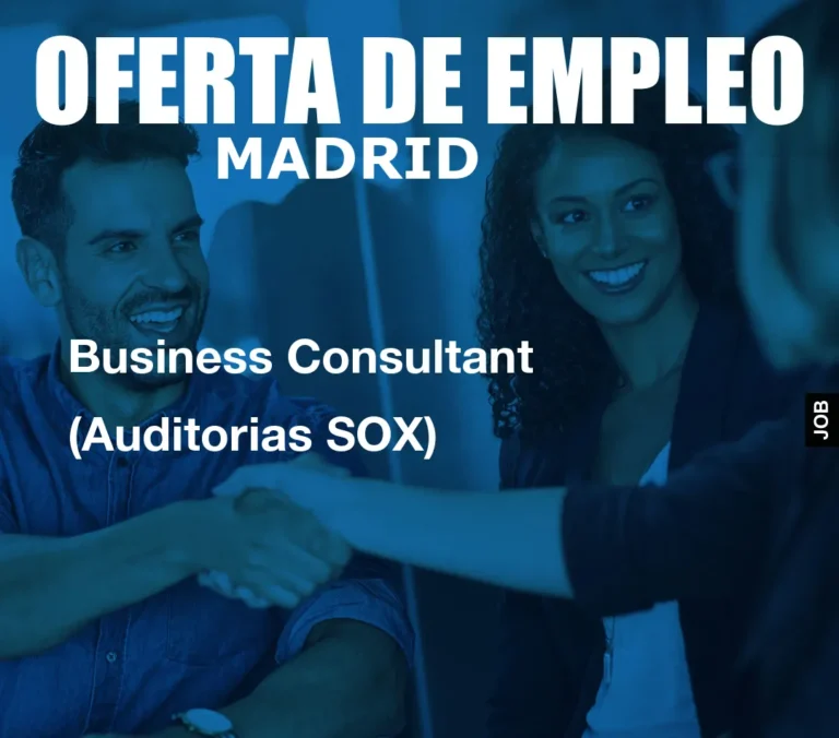Business Consultant (Auditorias SOX)