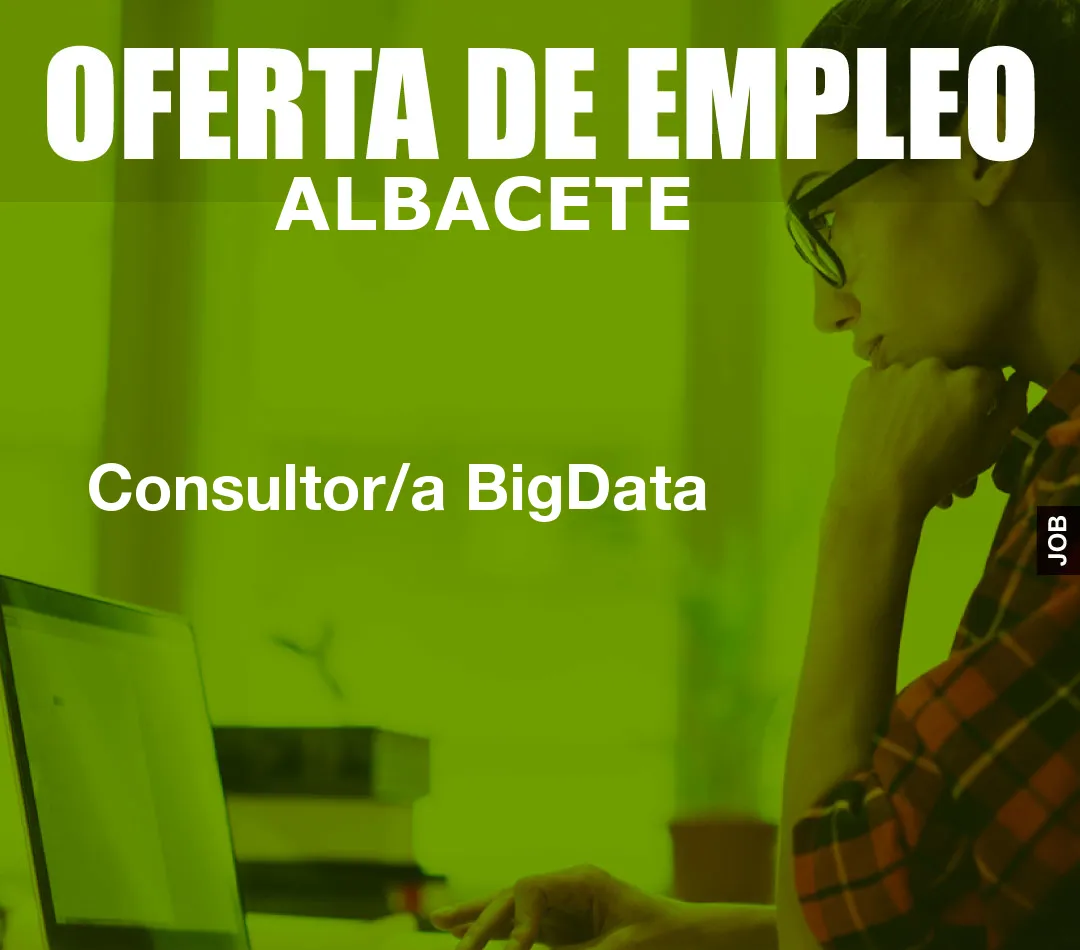 Consultor/a BigData