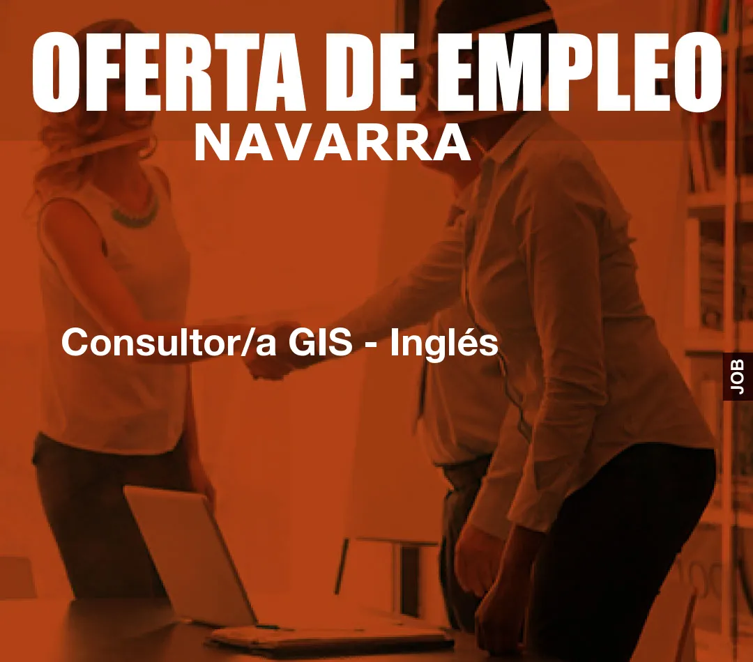 Consultor/a GIS - Inglés