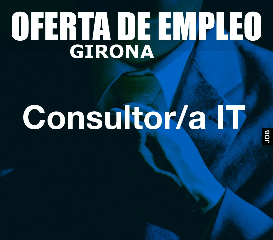 Consultor/a IT