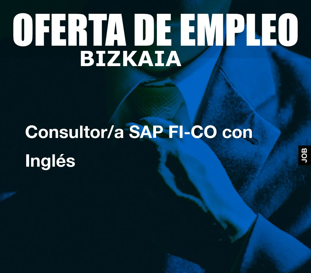 Consultor/a SAP FI-CO con Inglés