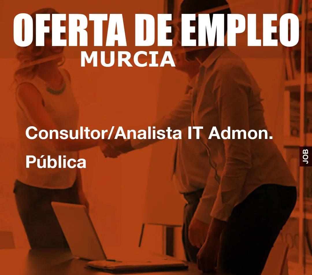 Consultor/Analista IT Admon. Pública