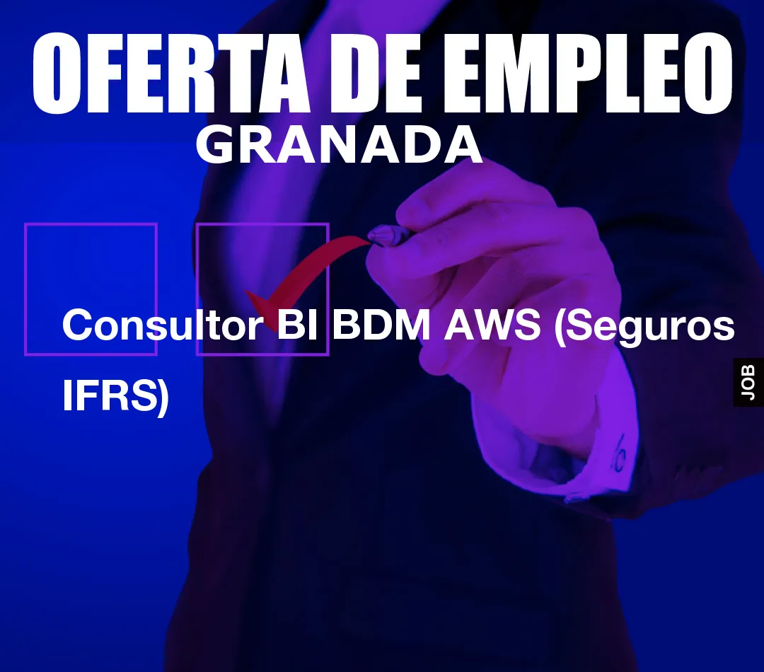 Consultor BI BDM AWS (Seguros IFRS)