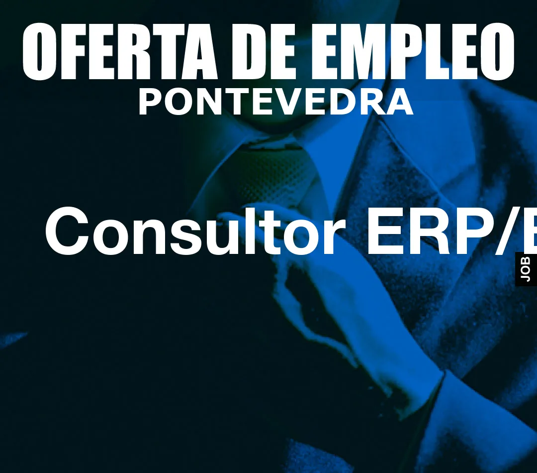 Consultor ERP/BI