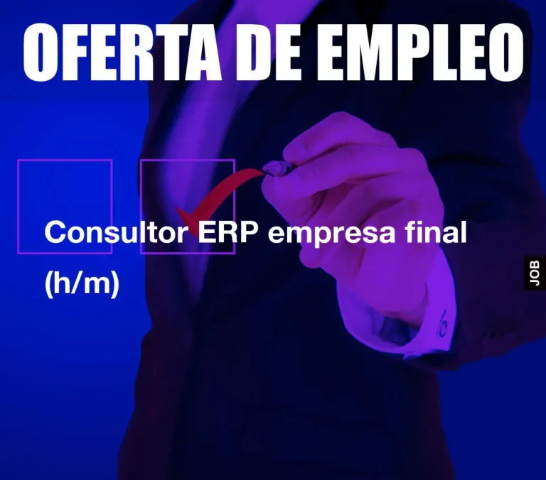 Consultor ERP empresa final (h/m)