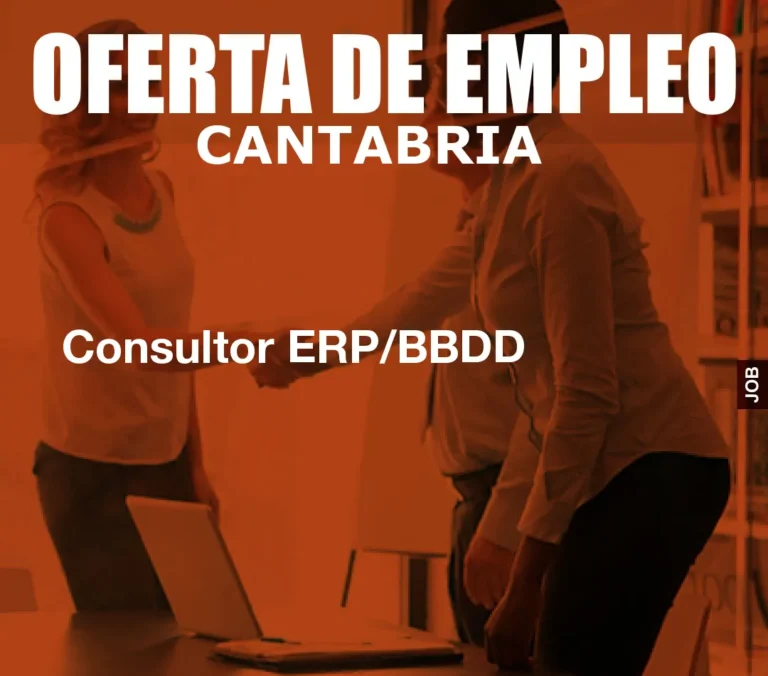 Consultor ERP/BBDD