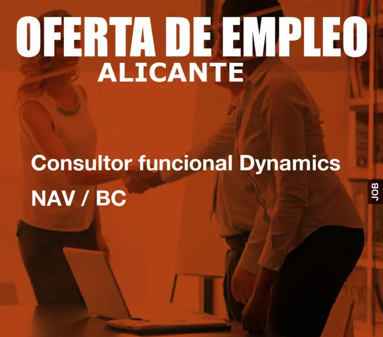 Consultor funcional Dynamics NAV / BC
