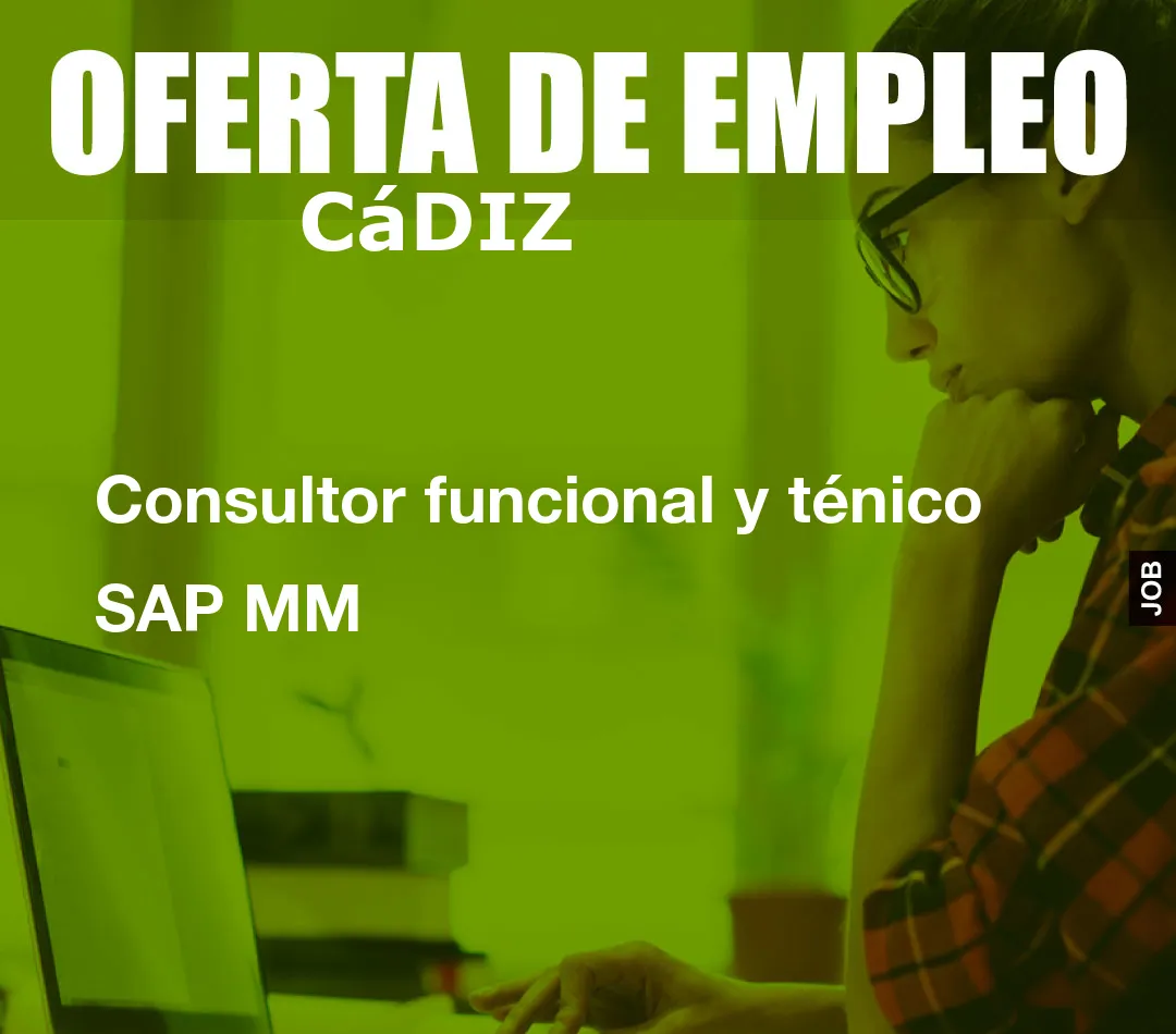 Consultor funcional y ténico SAP MM