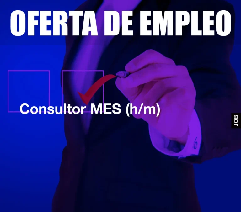Consultor MES (h/m)