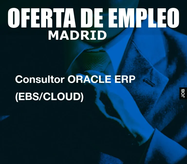 Consultor ORACLE ERP (EBS/CLOUD)