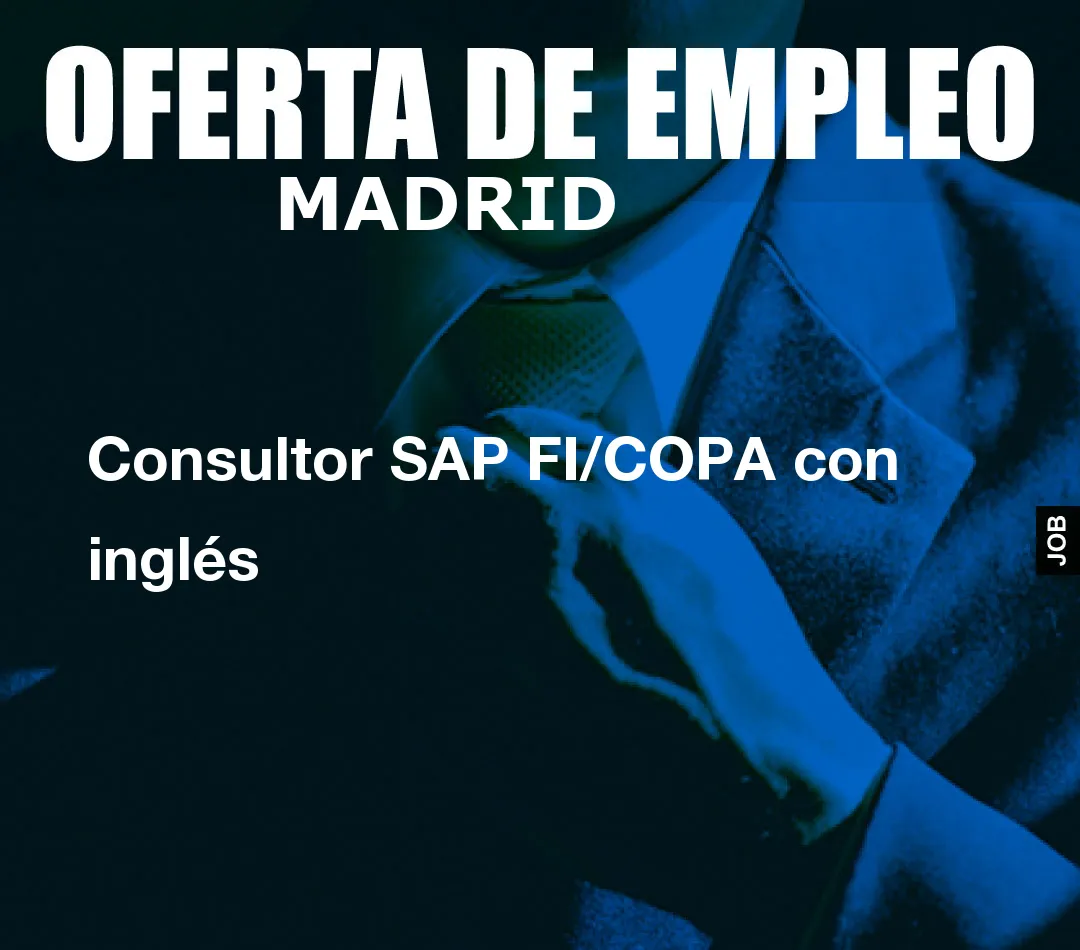 Consultor SAP FI/COPA con inglés