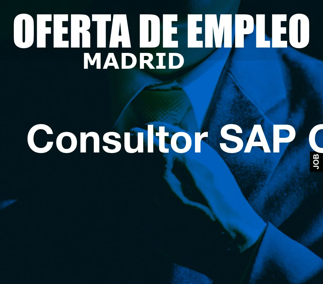 Consultor SAP GRC