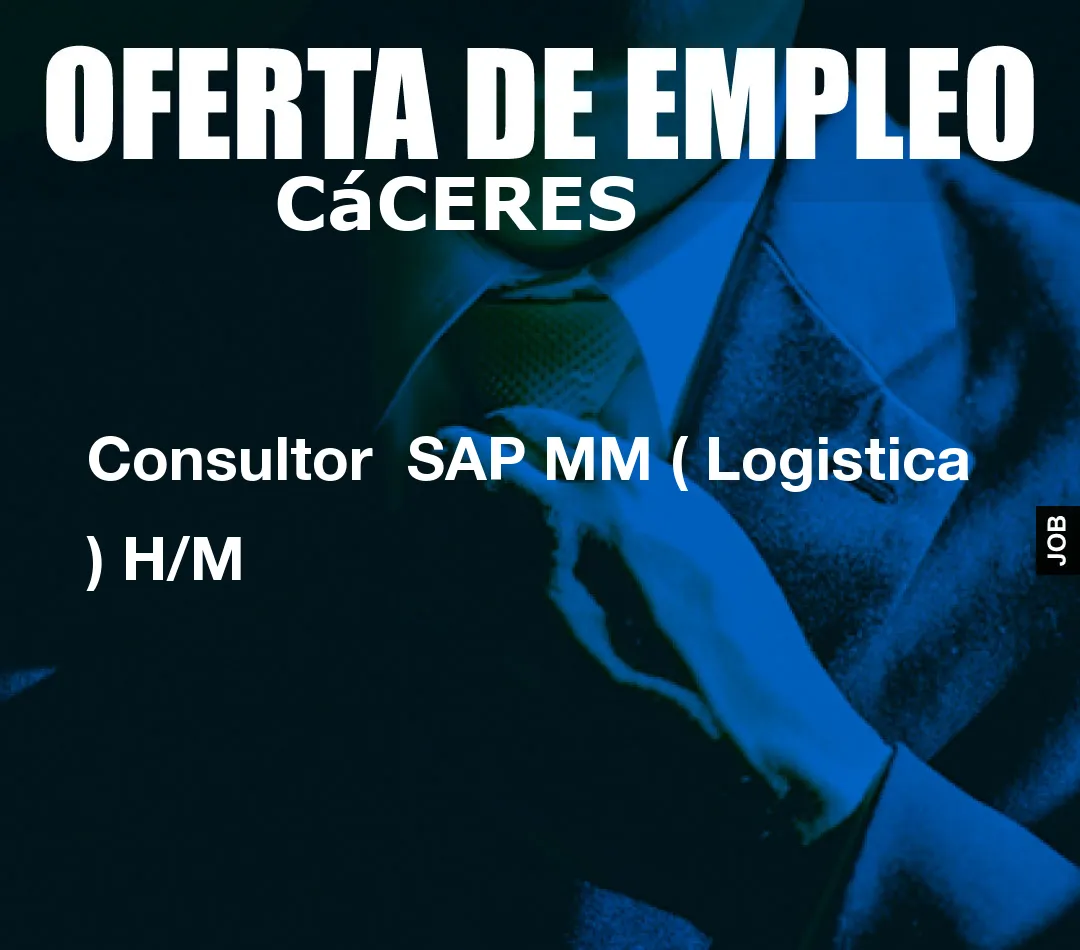 Consultor  SAP MM ( Logistica ) H/M