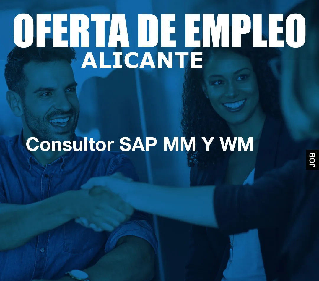 Consultor SAP MM Y WM