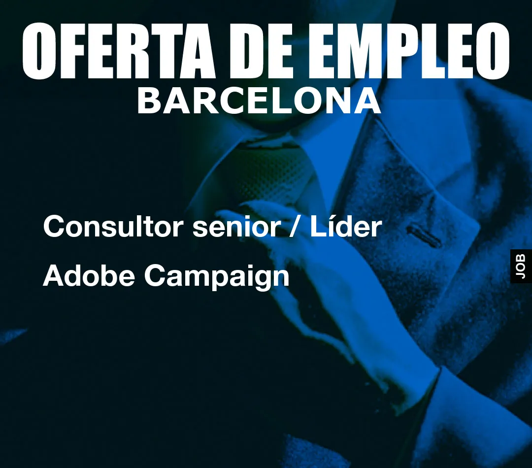Consultor senior / Líder Adobe Campaign