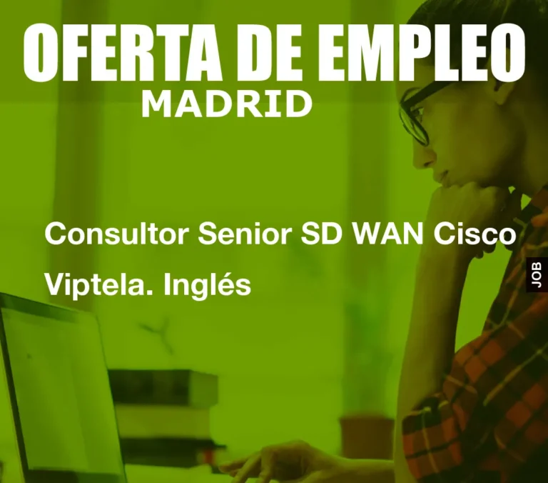 Consultor Senior SD WAN Cisco Viptela. Inglés