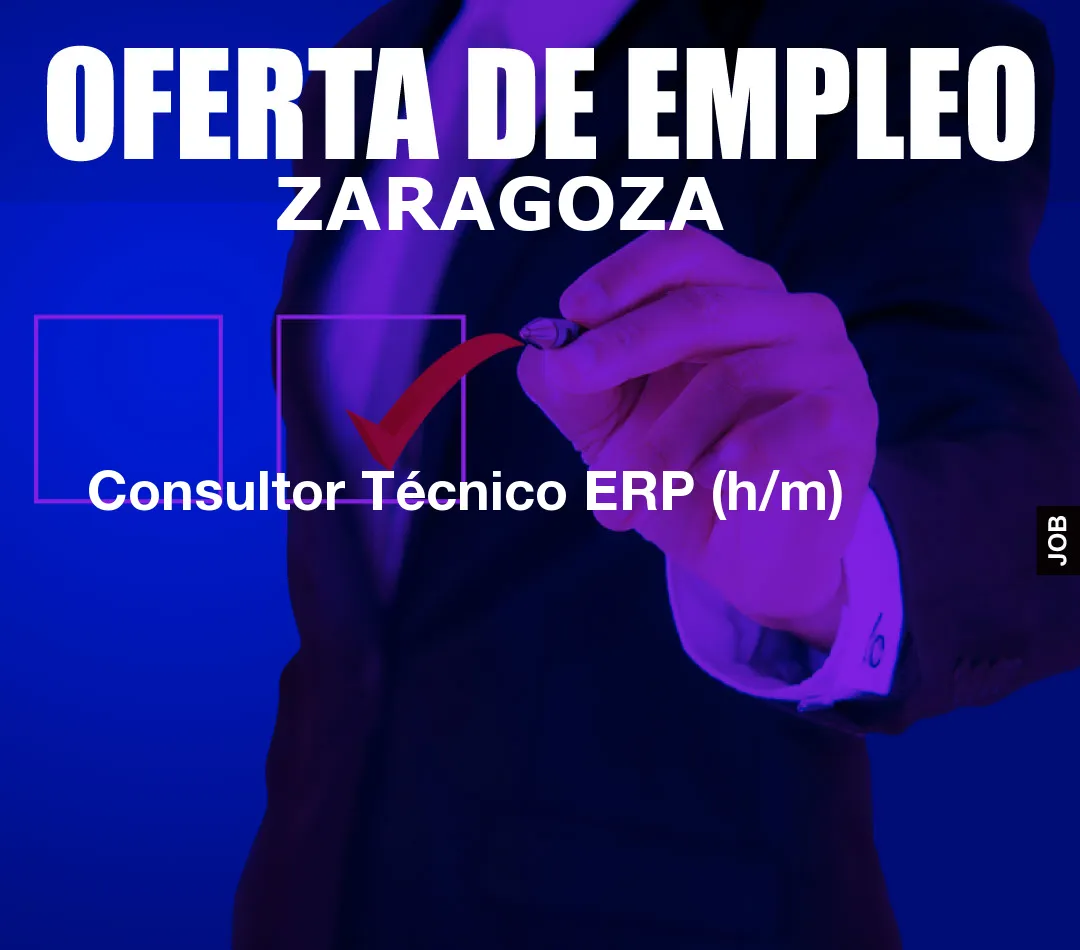 Consultor Técnico ERP (h/m)