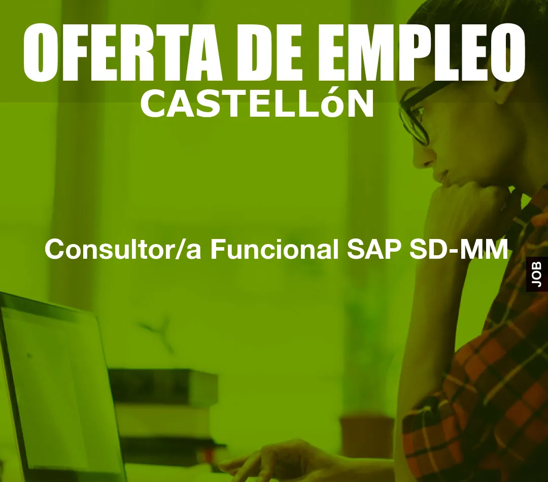 Consultor/a Funcional SAP SD-MM