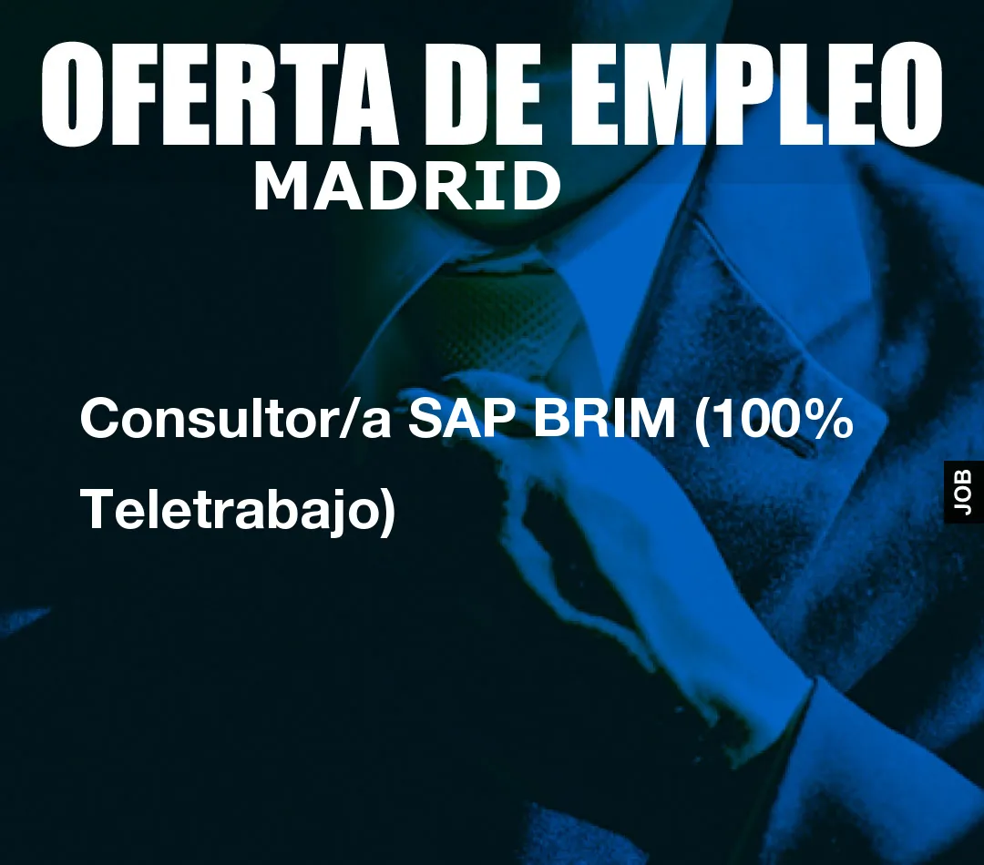 Consultor/a SAP BRIM (100% Teletrabajo)
