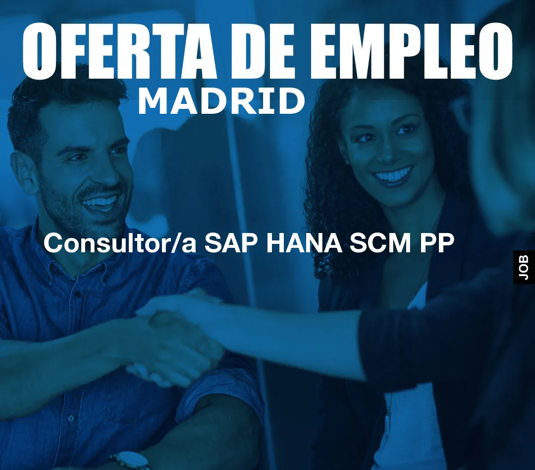 Consultor/a SAP HANA SCM PP