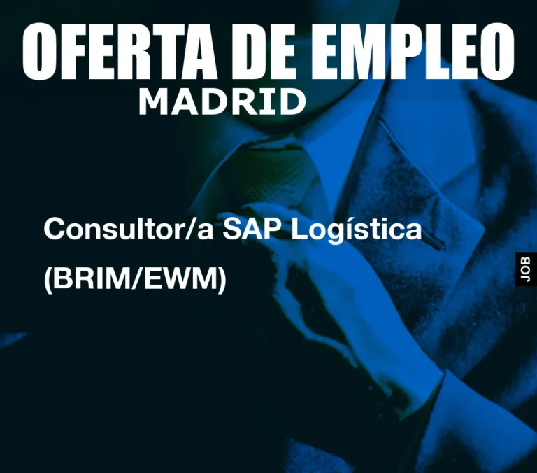 Consultor/a SAP Logística (BRIM/EWM)