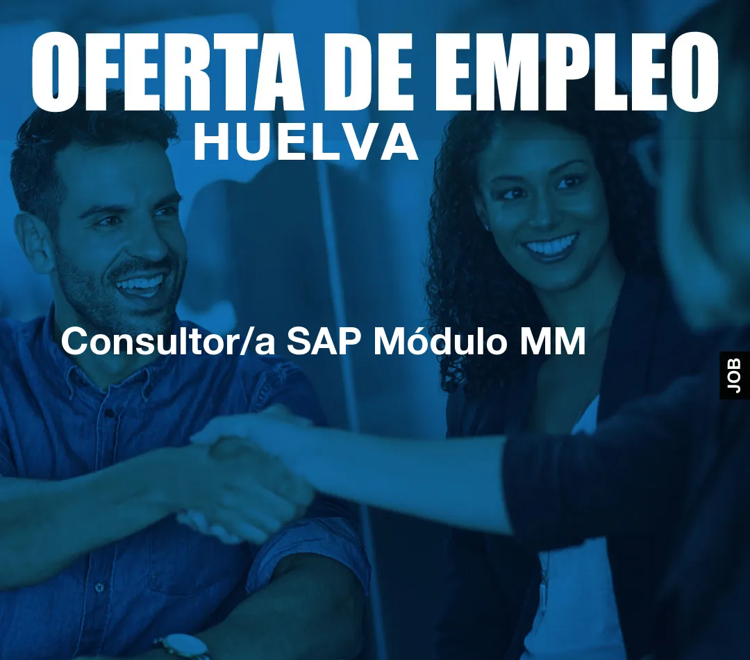 Consultor/a SAP Módulo MM