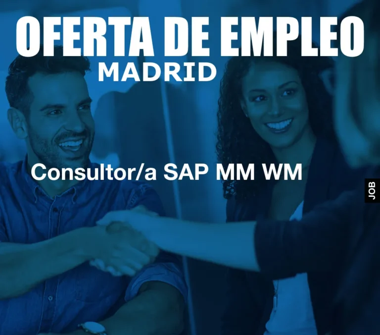 Consultor/a SAP MM WM