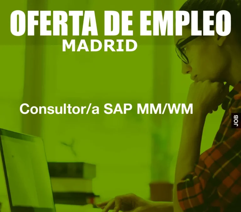 Consultor/a SAP MM/WM
