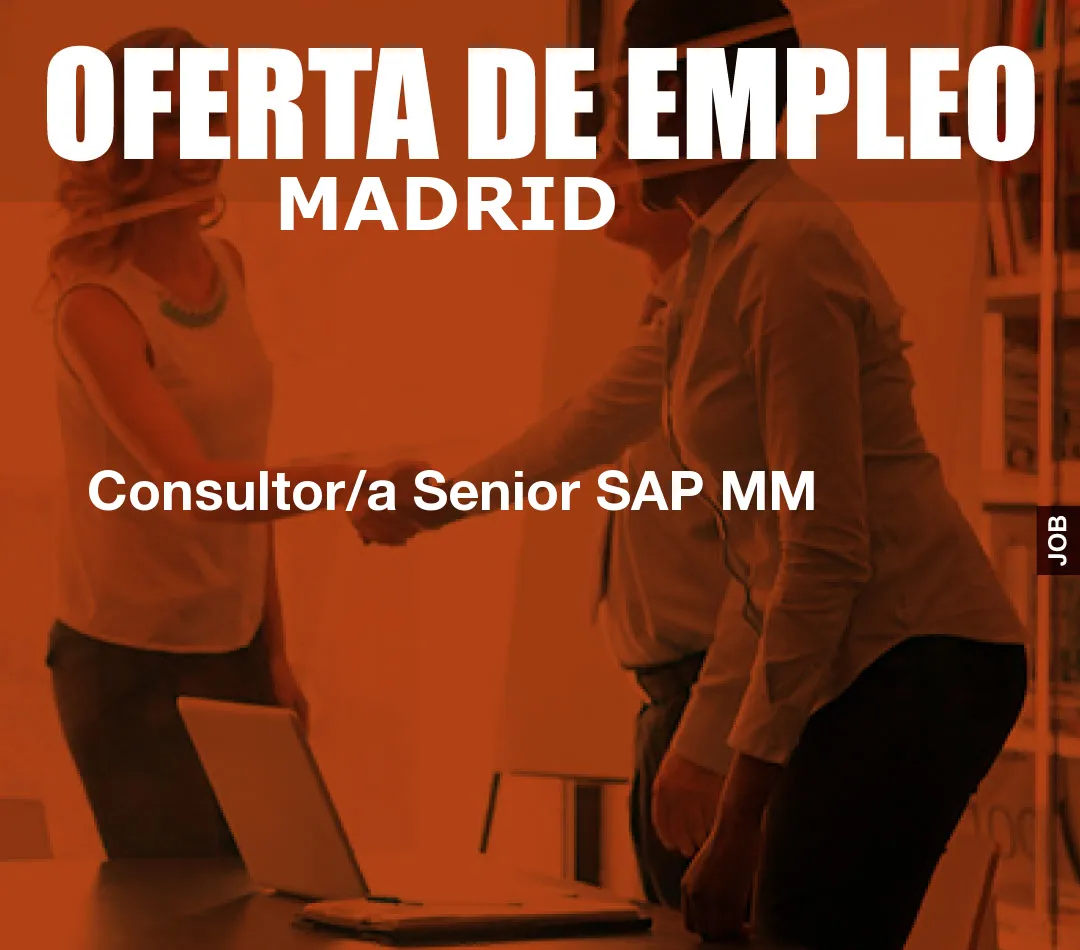 Consultor/a Senior SAP MM