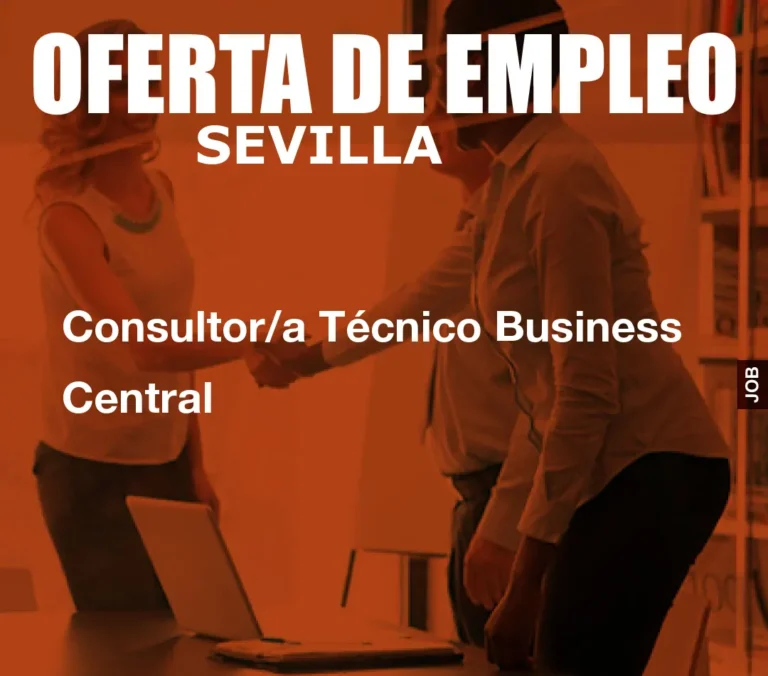 Consultor/a Técnico Business Central