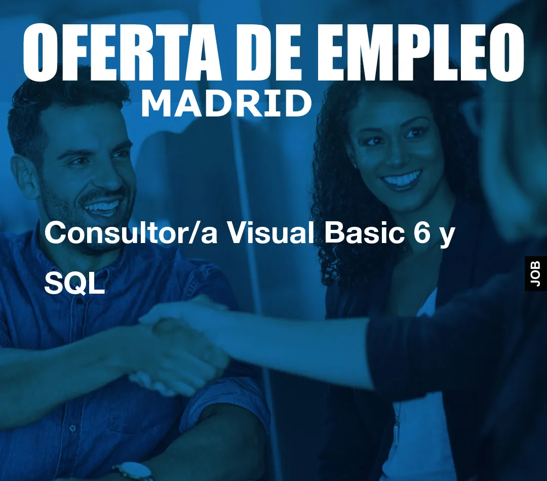 Consultor/a Visual Basic 6 y SQL
