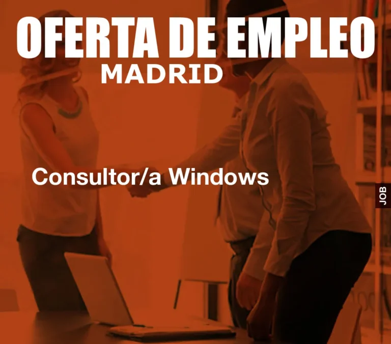 Consultor/a Windows
