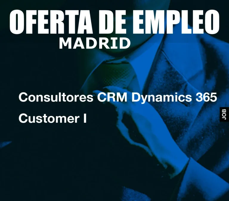 Consultores CRM Dynamics 365 Customer I